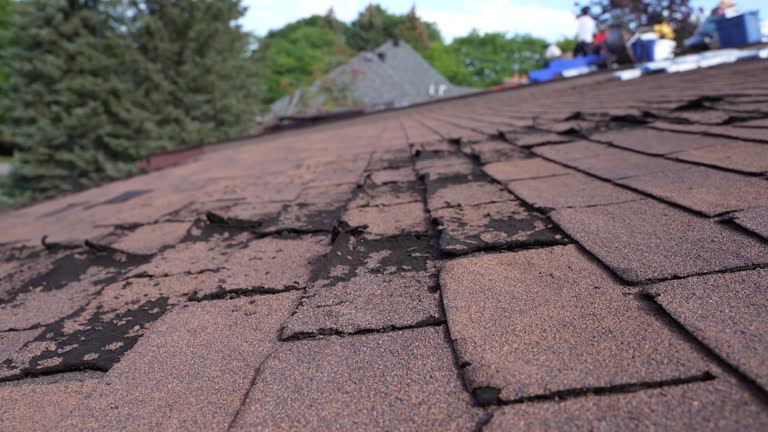 Best 4 Ply Roofing  in , VT